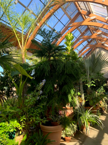 Tower Hill Botanical Garden
