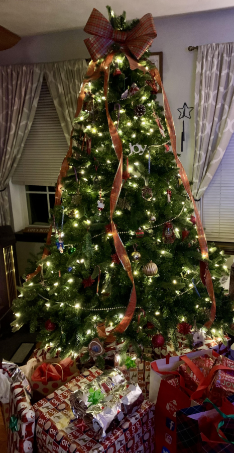 Christmas+Tree+Tradition