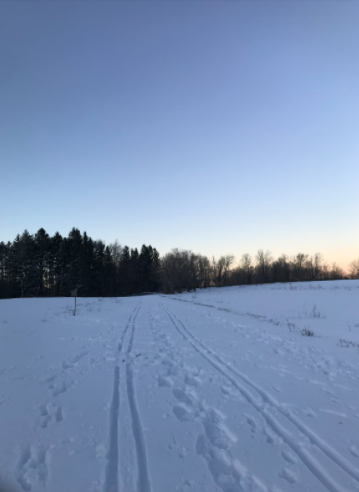 Cross Country ski trails at High Ridge Wildlife Management Area.