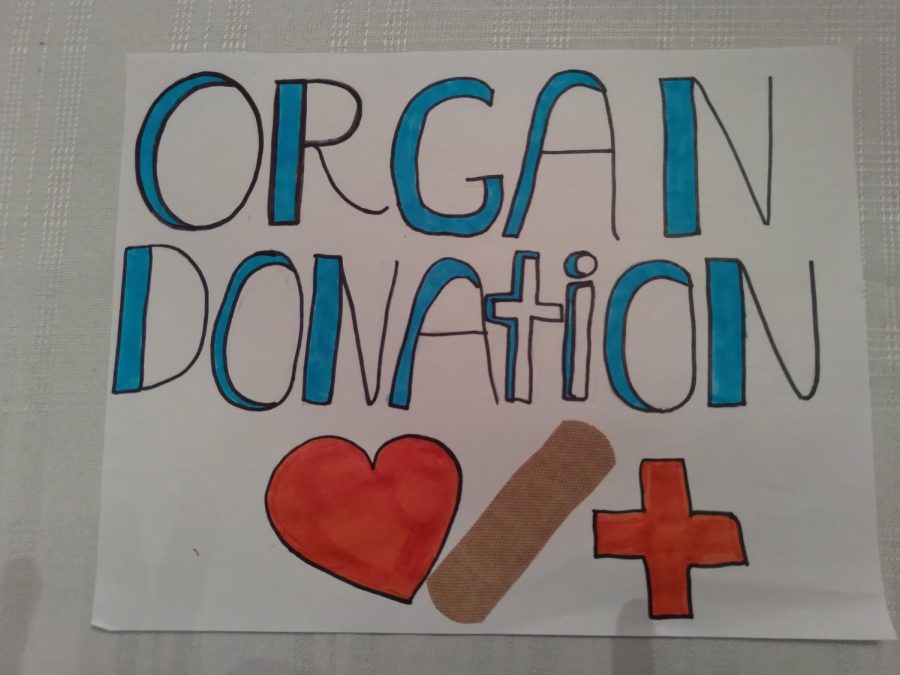 Opinion: The importance of organ donation