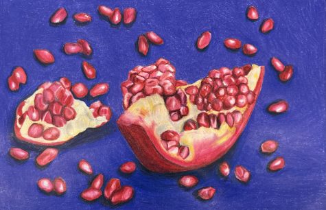 Marvelous Pomegranate*