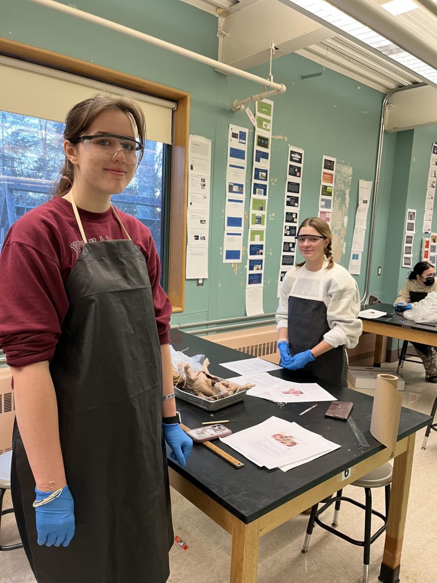 Mrs.Bennitts Anatomy&Physiology Class Dissects Fetal Pigs
