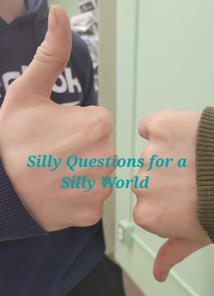 Silly Questions for a Silly World