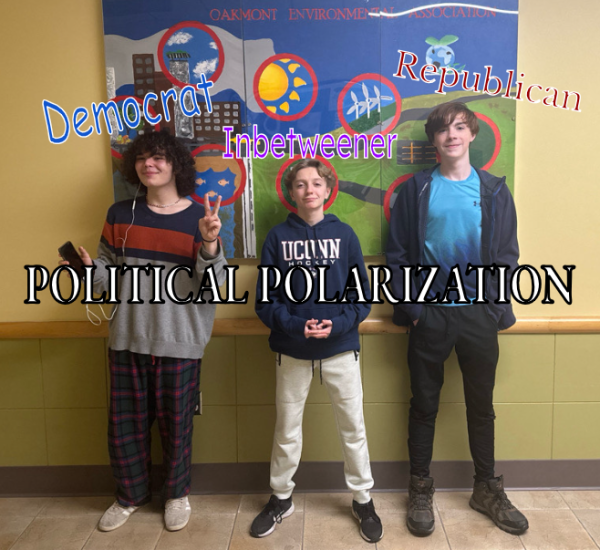 Political Polarization - where do you fall in?