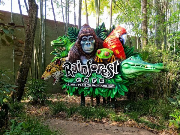 Rainforest Cafe: A Crumbling Dynasty