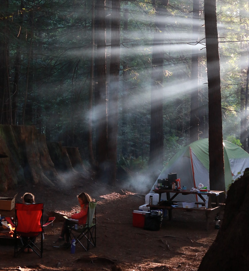 Camping trip deep within the woods!