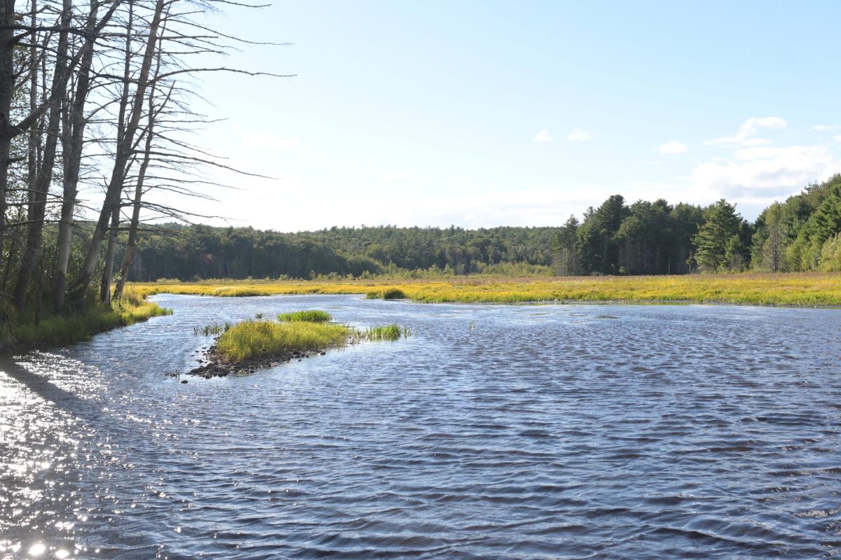 Bro Said He Knew A Spot: High Ridge Wildlife Review