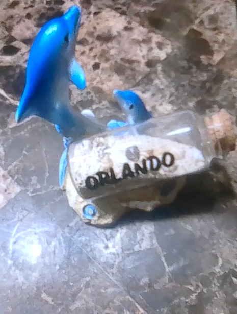 (An Orlando  souvenir after a trip to Florida!)
