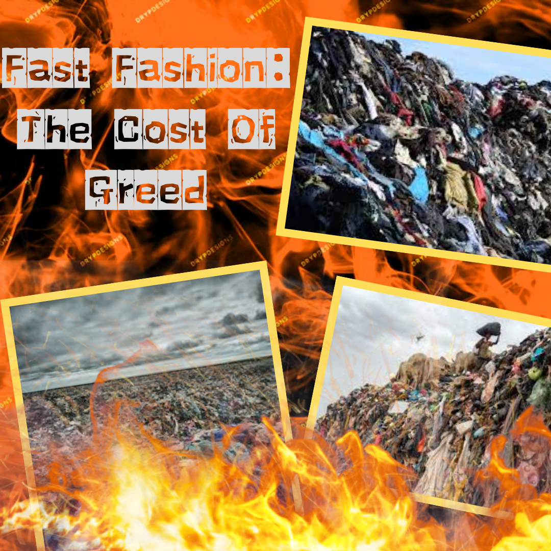 Fast Fashion: The Cost of Greed