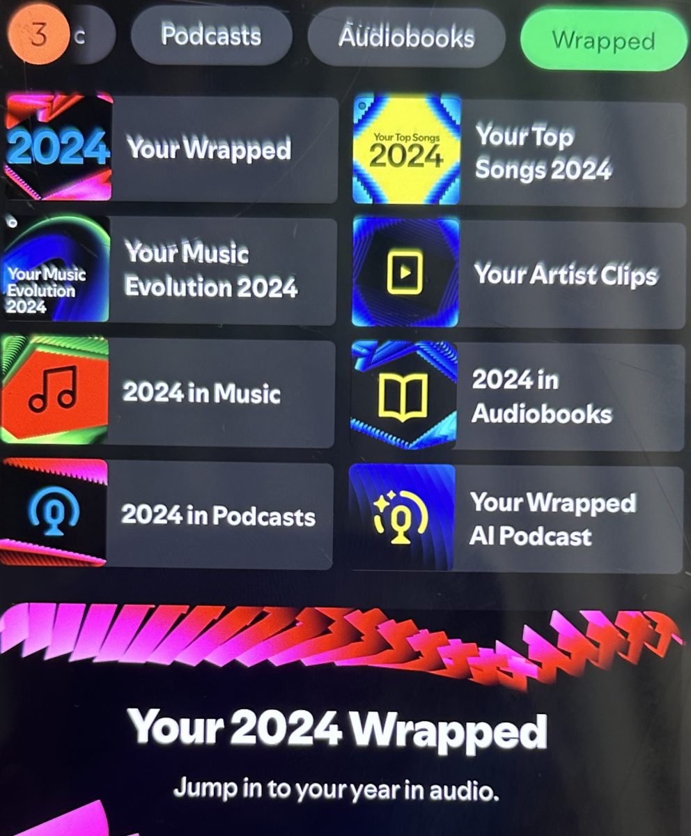 A picture of what the Spotify 2024 wrapped  looks like 