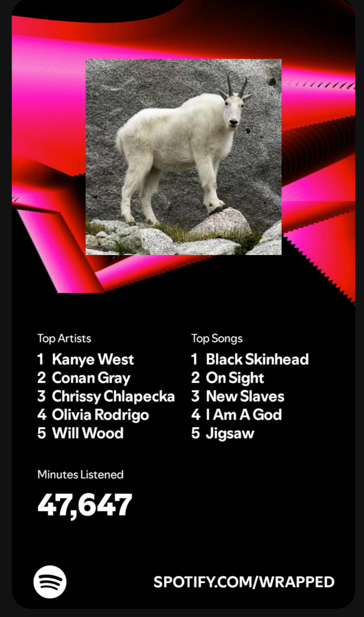 My Opinion on Spotify Wrapped