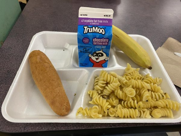 Picture of a normal day's school lunch