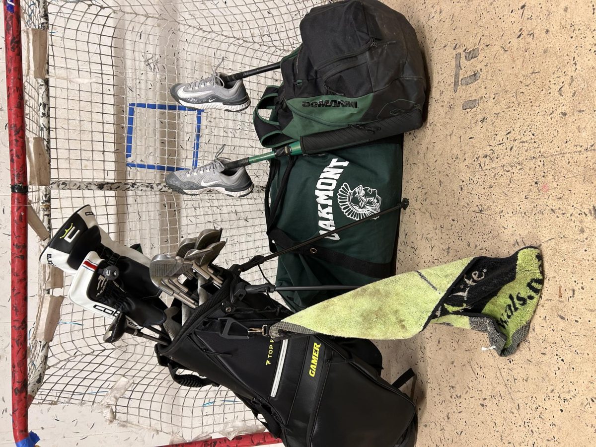 Golf, Ice hockey, and baseball equipment 