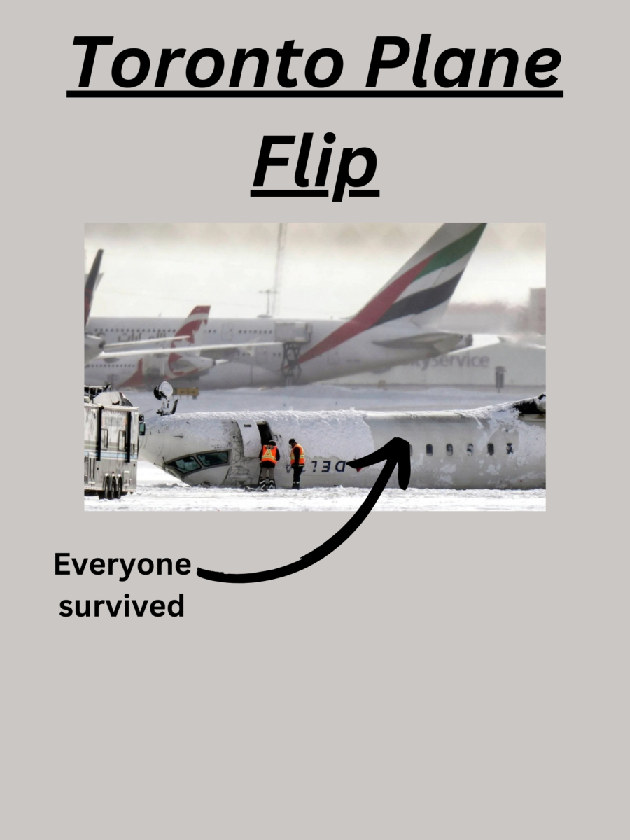 Picture of plane flipped (made in canva)