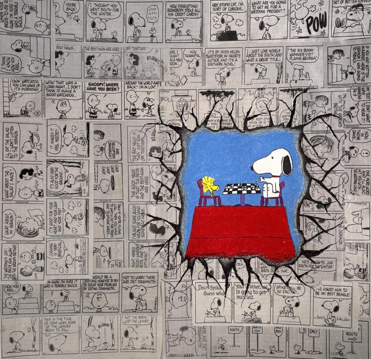 Snoopy Vs. Woodstock