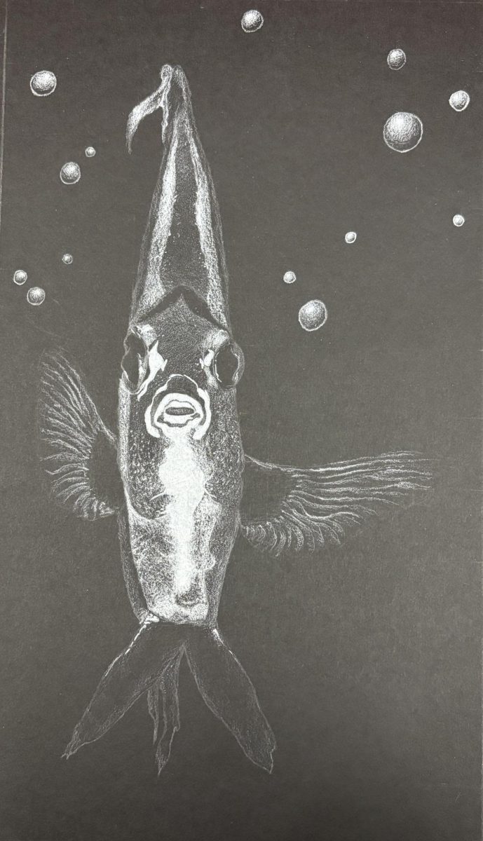 Bubble Fish