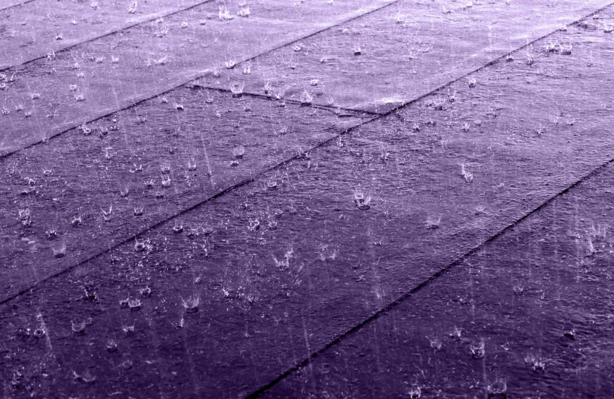 Purple Rain