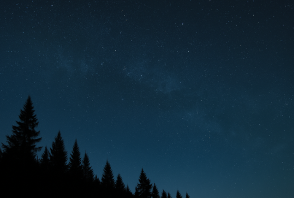 Night sky