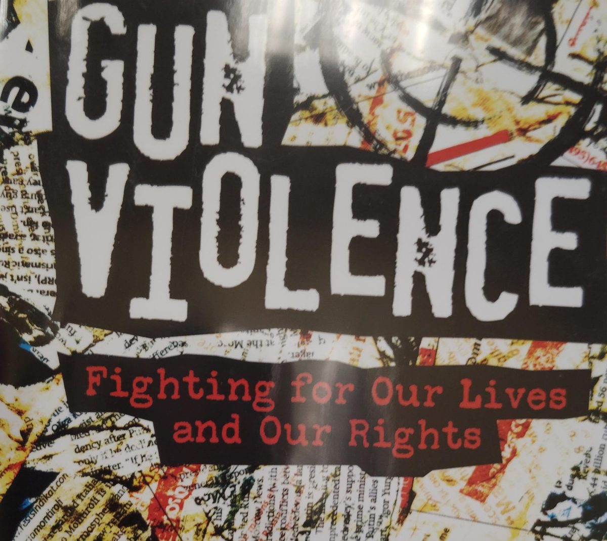 Gun Violence - Opinion