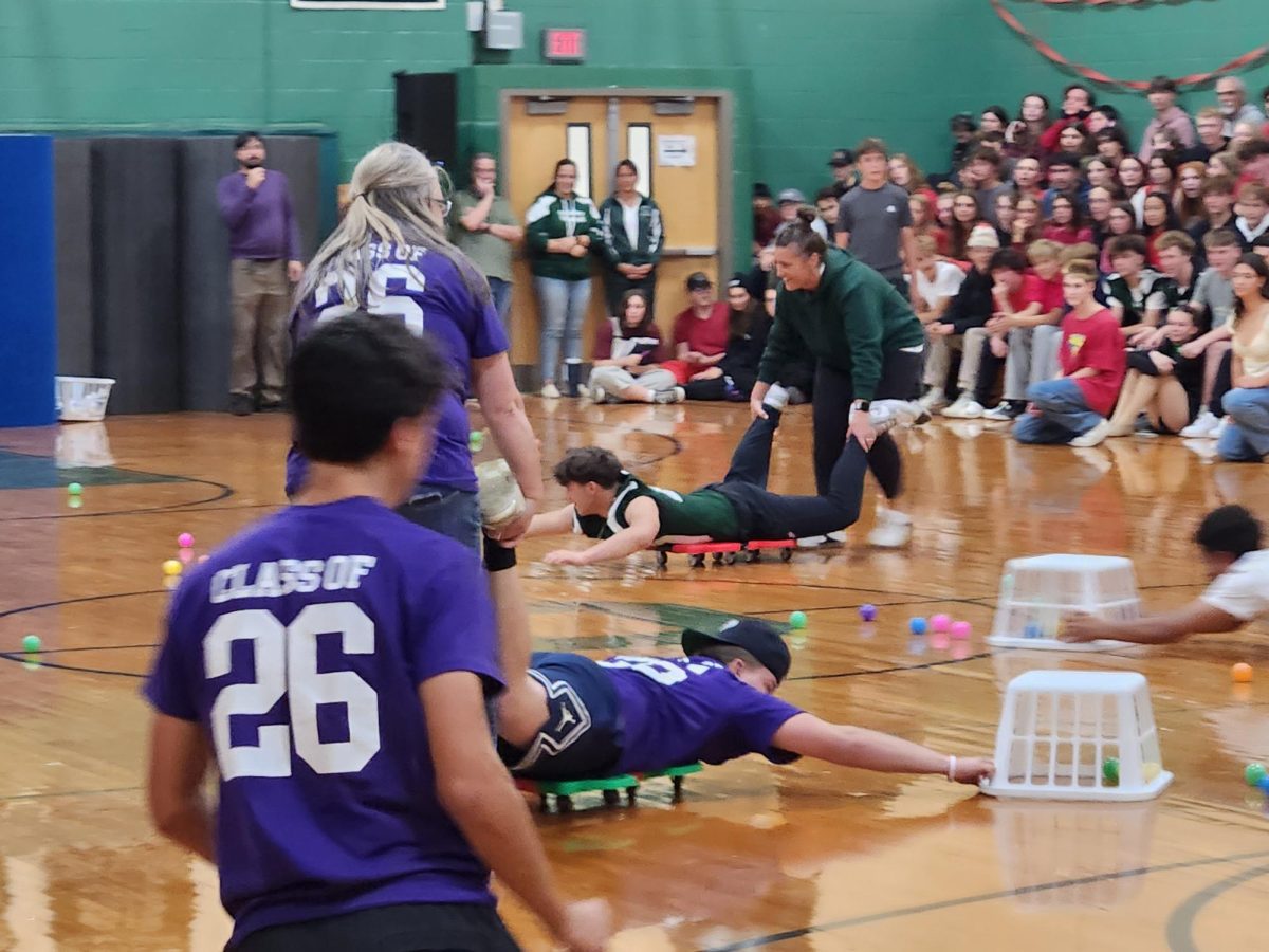 Hungry Hungry Hippos!
