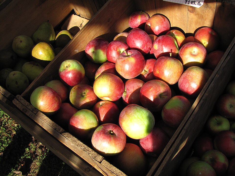 Red Apple Farm Apples Being Sold at Lexington’s Farmers Market