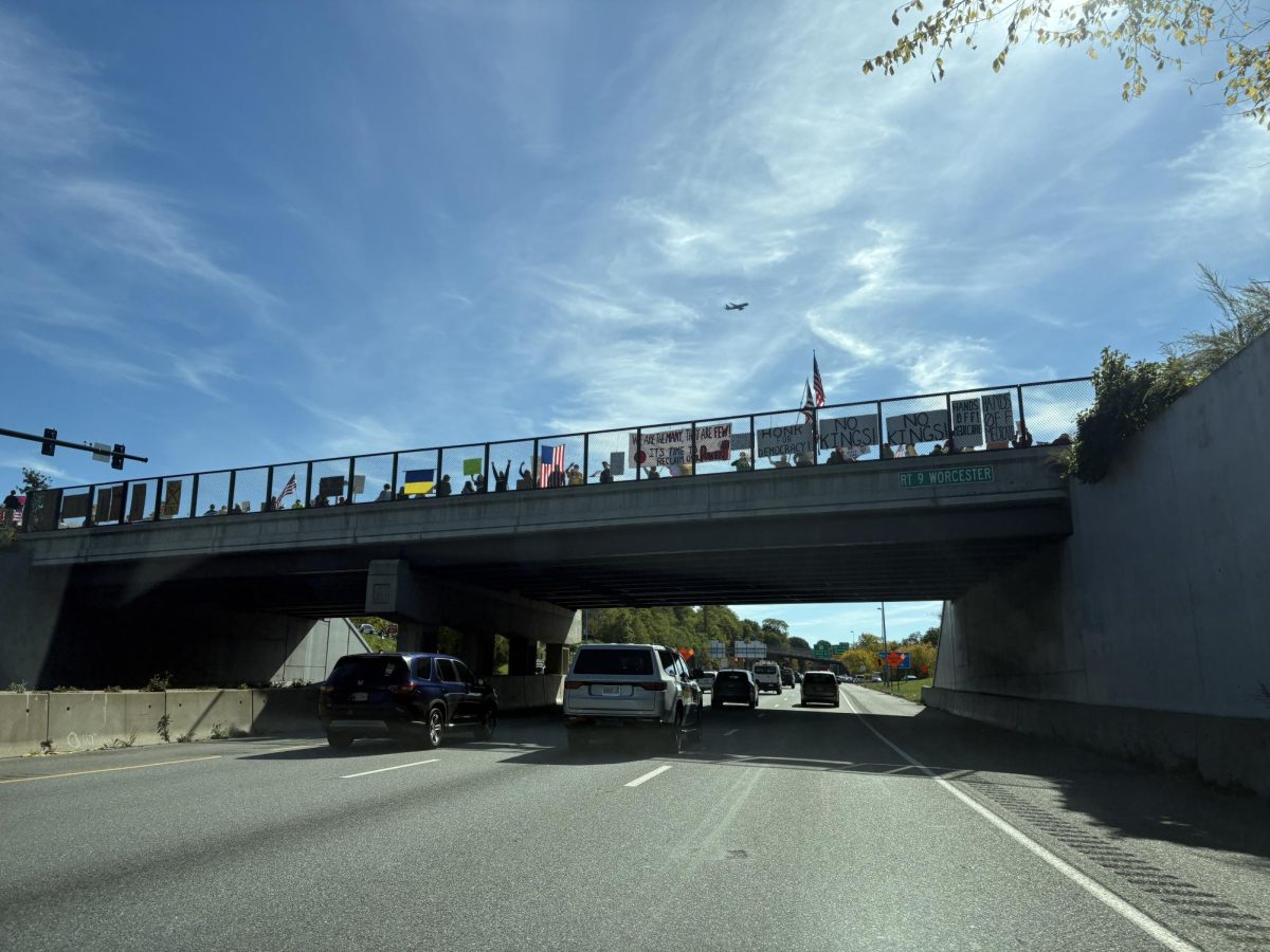 No Kings Overpass