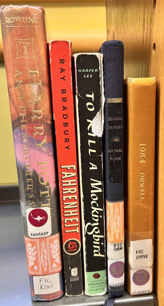 Ranked Most Popular Banned Books