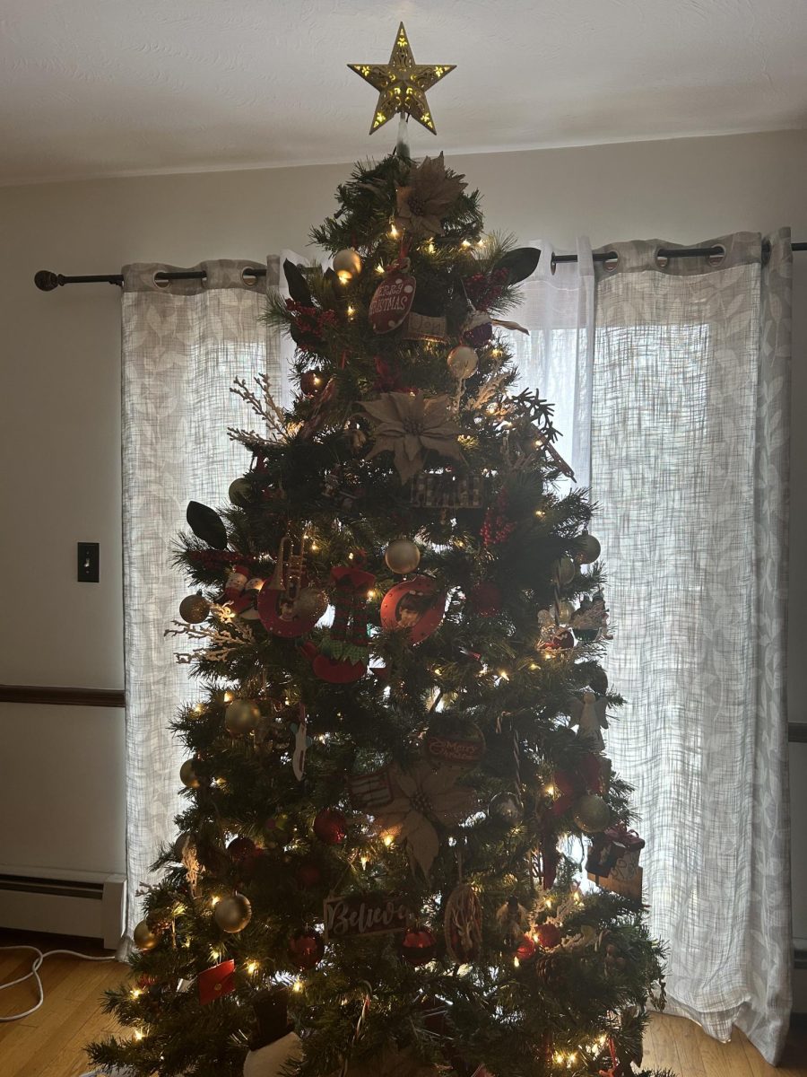 Spreading Holiday Cheer: The History Behind Angel Trees