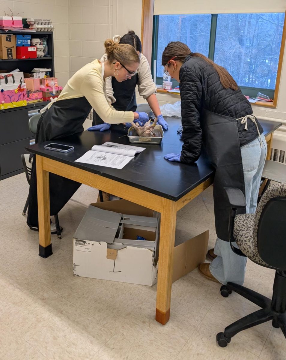 Anatomy students performing a pig dissection