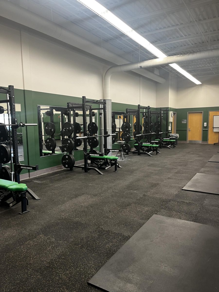 New benches, barbells, and weights