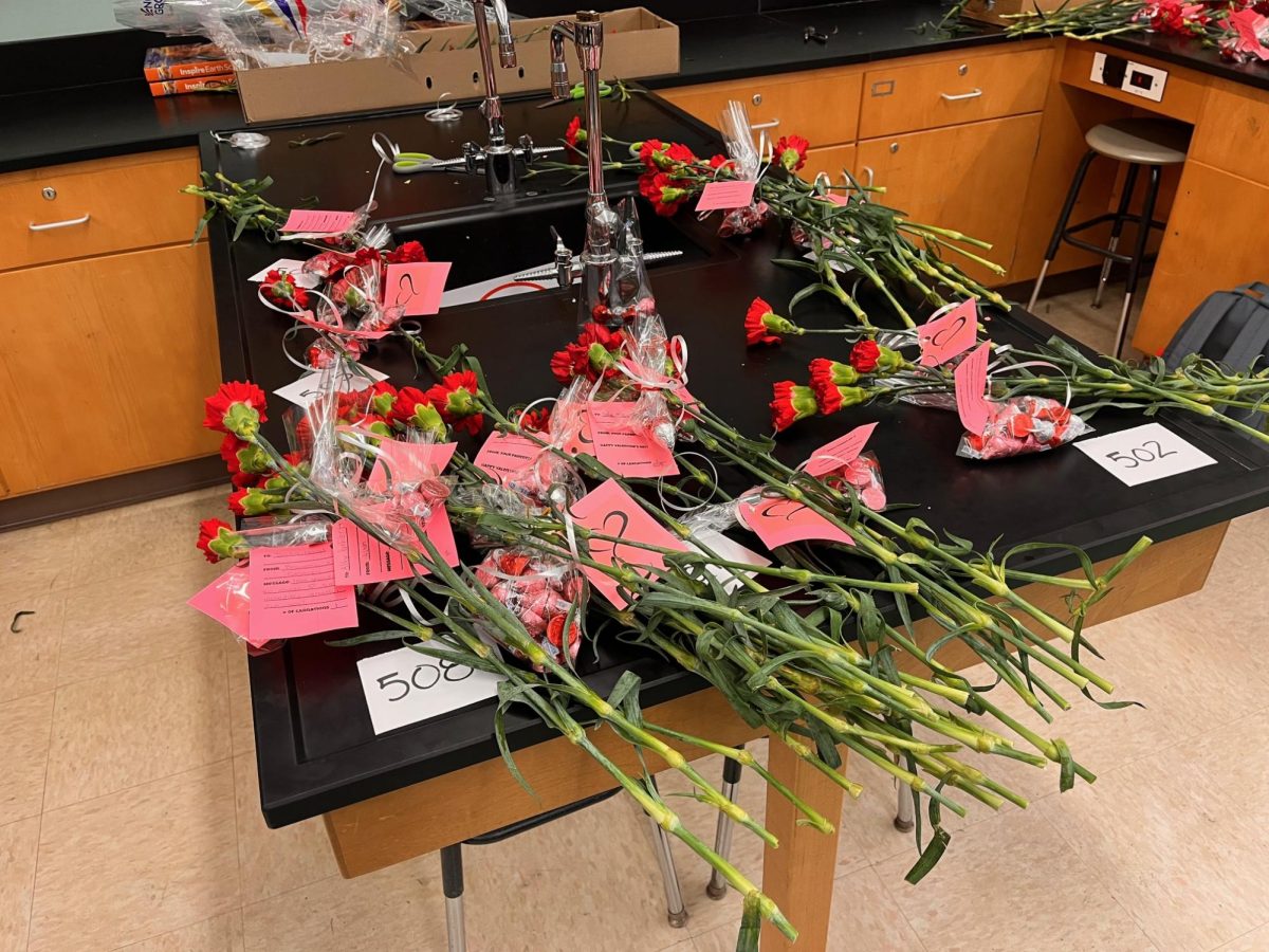 The finished Valentine's carnations are then sorted by room number.