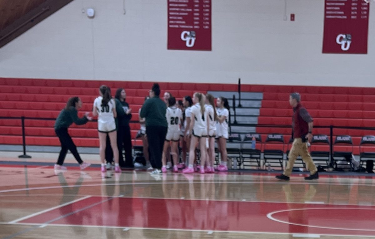 Girls celebrate their win over Hudson as they advance to the championship.