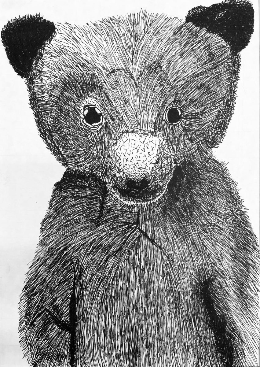 Waking Bear